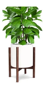 Honest Foldable Plant Shelf,Plant Stand,Indoor Flower Pot Holder,Flower Pot Ladder,Folding A Frame Display Shelf,Patio Rustic Wood Stand with Shelves,4 Tier Stand Outdoor,Free Standing(Brown)