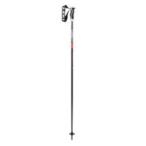 Neolite Ski Poles