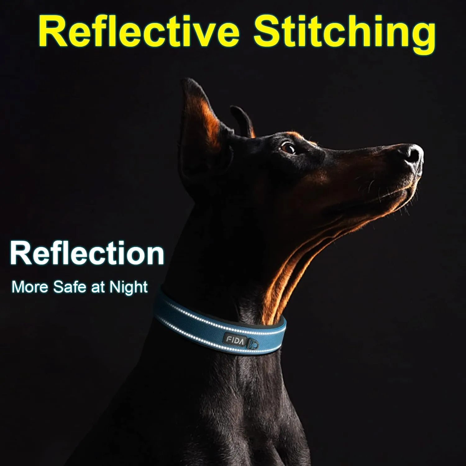 NEW Fida Heavy Duty Dog Collar, Ultra Comfortable Soft Neoprene Padded, Adjustable Reflective Nylon Pet Collar with Durable Metal Belt Buckle for Medium Breeds (M, Blue)
